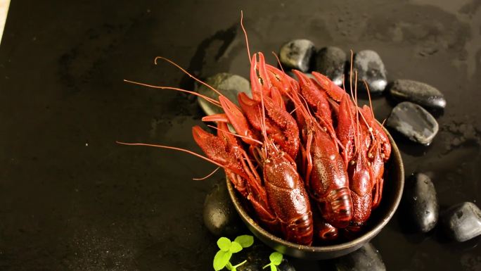 黑色石板上的一碗红色小龙虾
