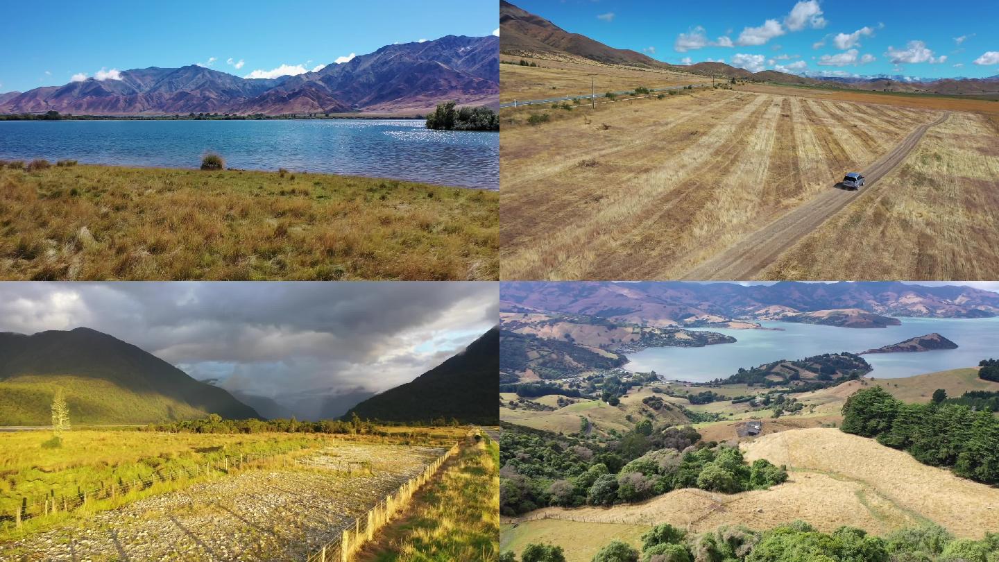 新西兰南岛风景绵羊农场山丘