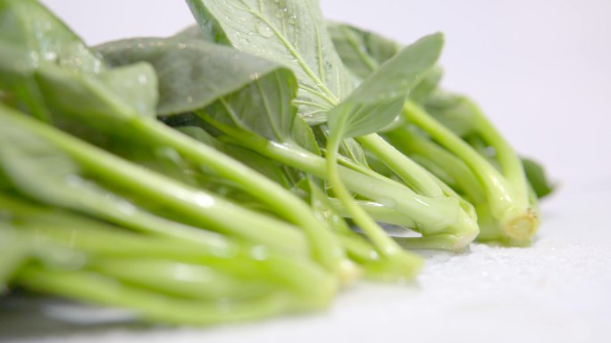【4K】鲜嫩青菜、绿色蔬菜