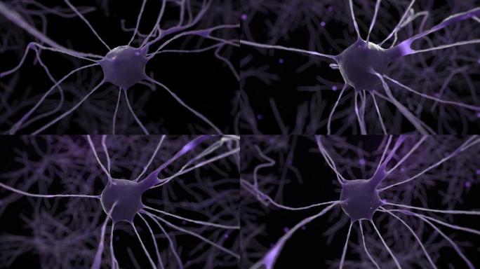脑电波神经元细胞2
