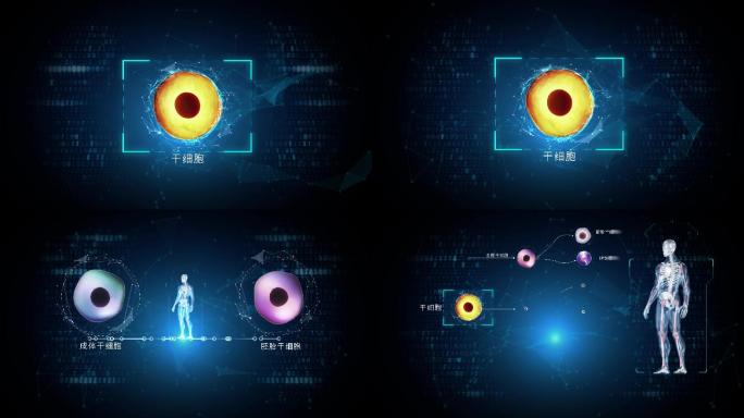 干细胞分类及分化细胞医疗细胞生物