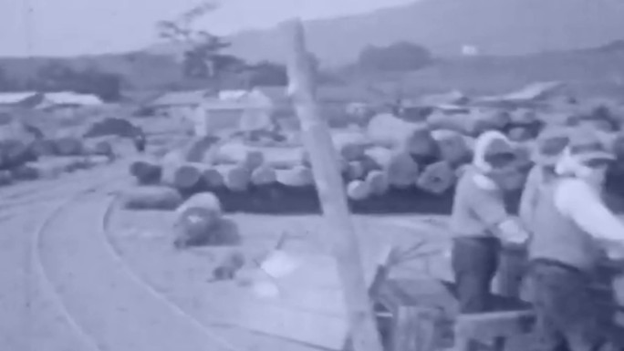 30年代日本掠夺盗取大兴安岭木材木料物资