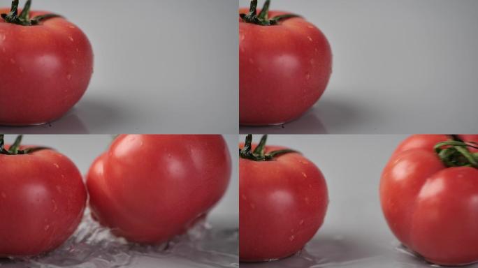 番茄升格慢动作