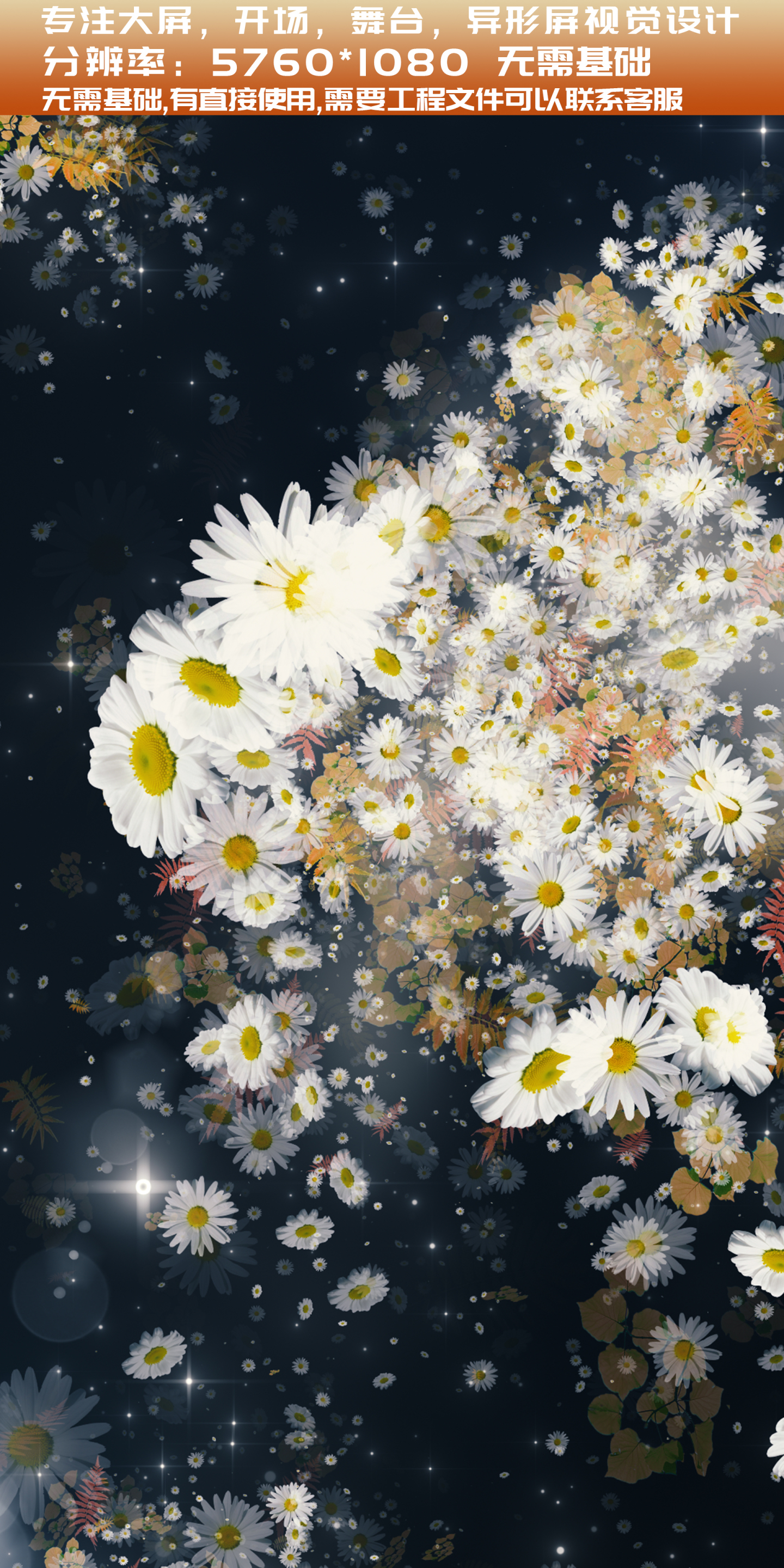 【大屏】梦幻白菊鲜花粒子穿梭背景