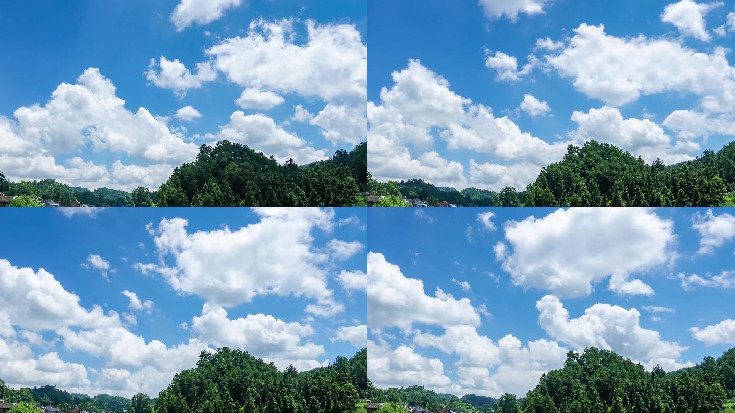 4K延时【18秒】秀地森林蓝天白云