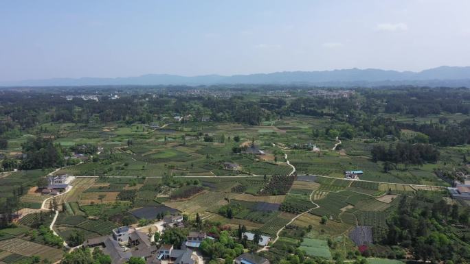 四川蒙顶山航拍风光大景