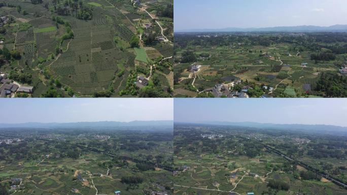 四川蒙顶山航拍风光大景