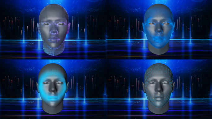 人脸识别扫描13种效果带通道