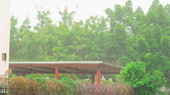 磅礴倾盆大雨暴雨下雨