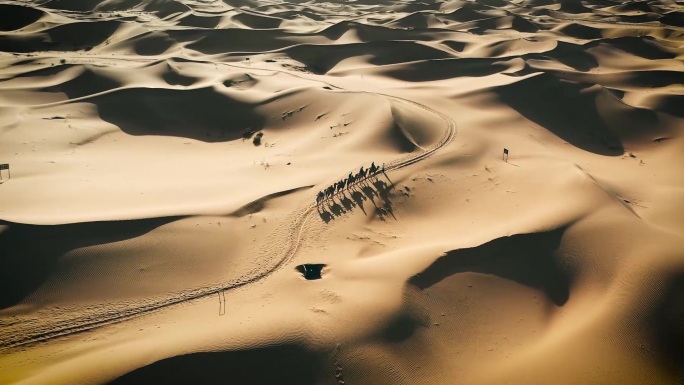 沙漠骆驼沙滩车