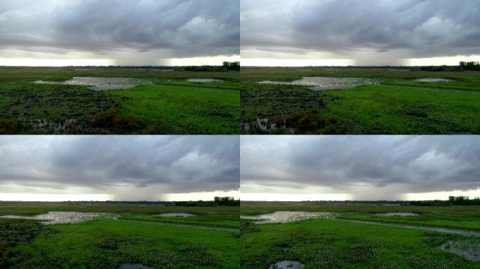 湿地雨季-4k视频（原创）