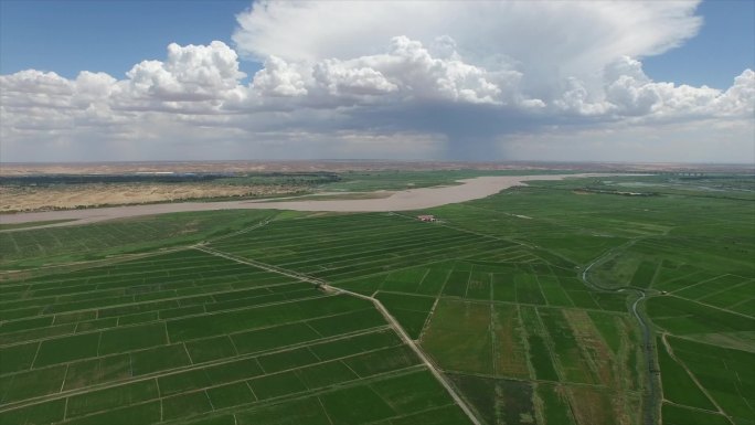 黄河平原稻田粮食产区农业生产
