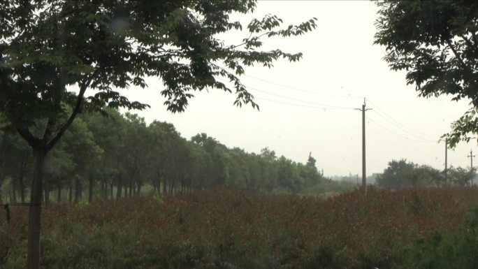 暴雨下雨空镜