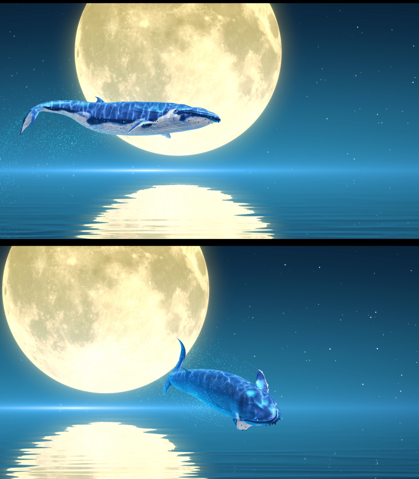 唯美月夜粒子鲸鱼起舞
