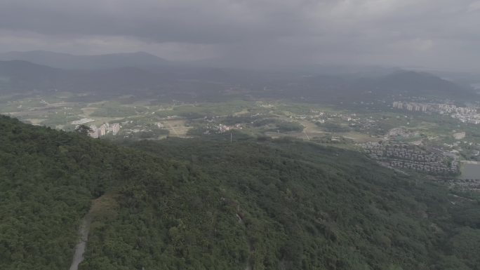 青山