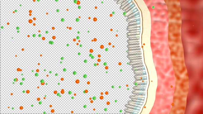 保护胃黏膜机理动画（带透明通道）