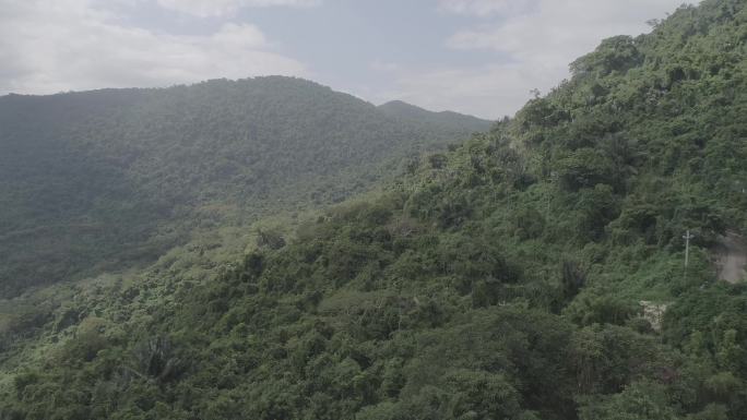 青山小路