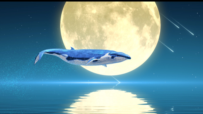 唯美月夜鲸鱼起舞
