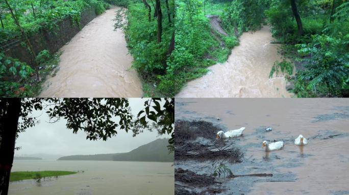 暴雨洪涝灾害沟满河平