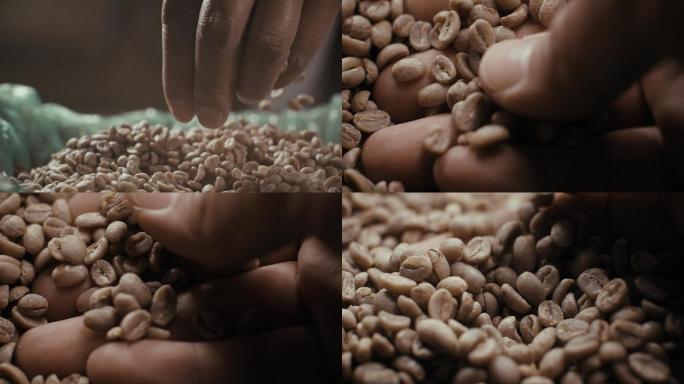 慢动作-生咖啡豆挑选