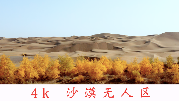 【原创】新疆沙漠无人区塔克拉玛干