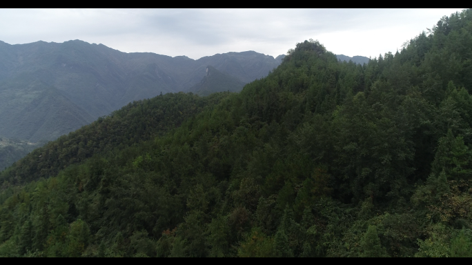 巴山大峡谷森林航拍4K