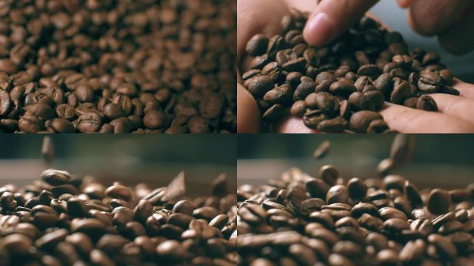 慢动作-咖啡豆挑选