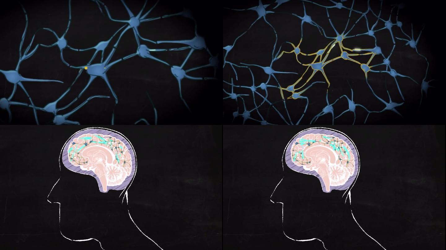 卡通趣味大脑大脑神经平面动画
