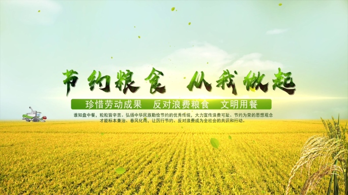 节约粮食从我做起AE片头模板