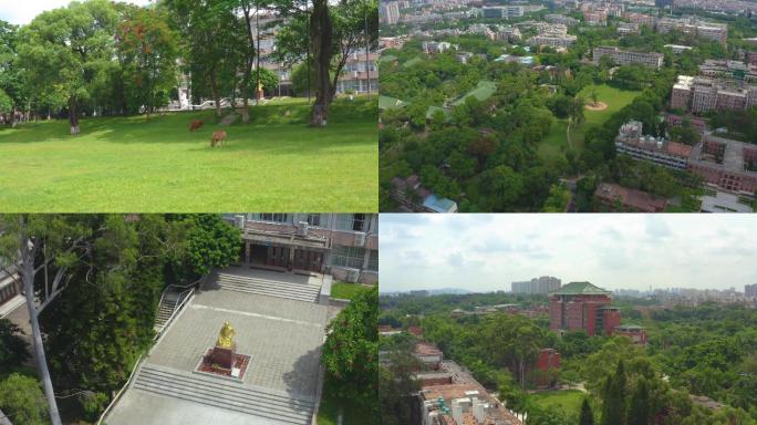 广州五山华南农业大学航拍1
