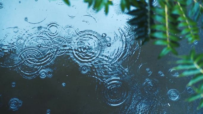 下雨水滴慢速视频实拍