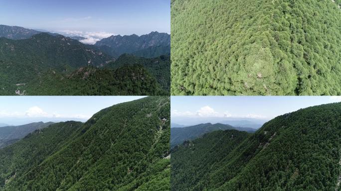 秦岭航拍空镜
