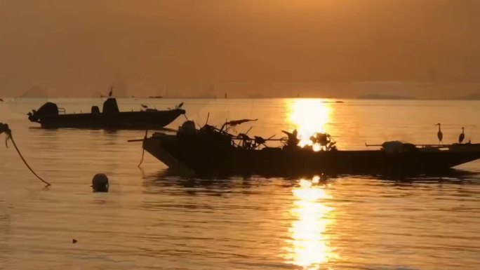 海边夕阳背景海鸥鱼船