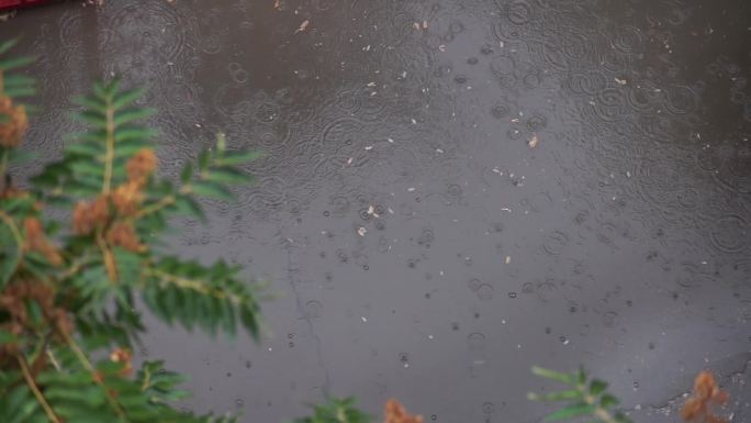下雨天多个小景实拍镜头