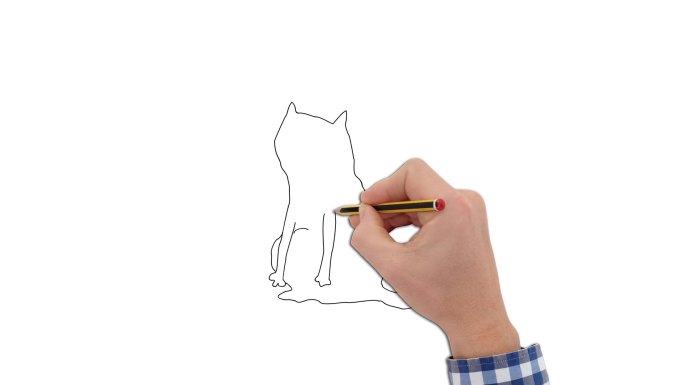 手绘卡通猫素材1