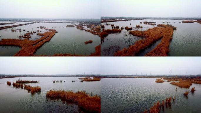 徐州沛县安国湿地公园航拍4K