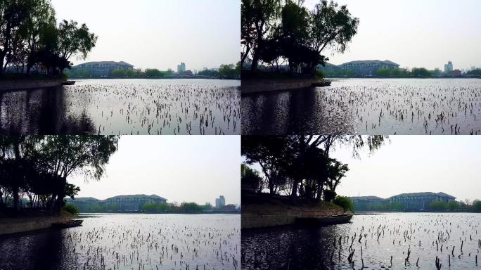 徐州沛县汉城公园航拍4K视频