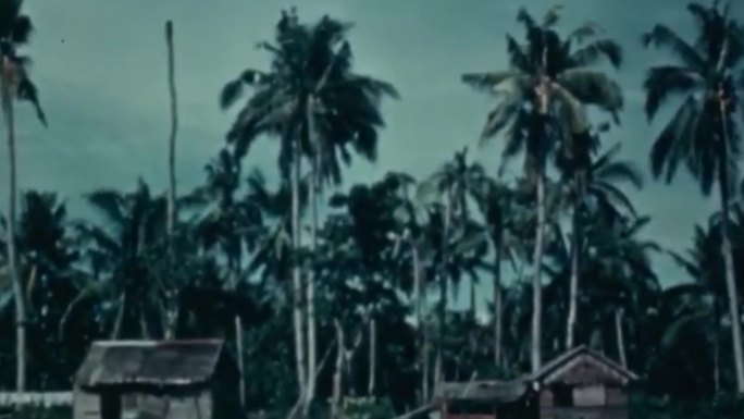 40年代海南岛椰子树小学生学校上课老师