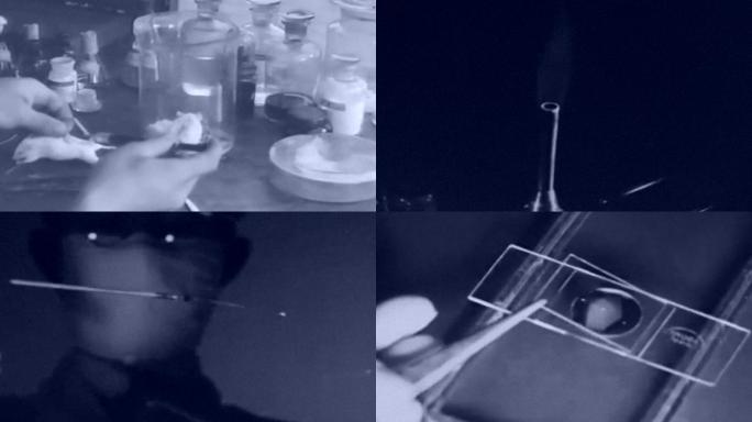 40年代病毒细菌样本培养皿显微镜防疫传染