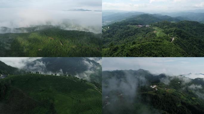 壮美山河祖国河山风景延时航拍秦岭云海