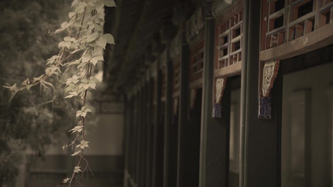 【原创】古代园林建筑视频做旧