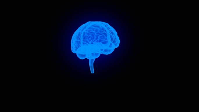 大脑2