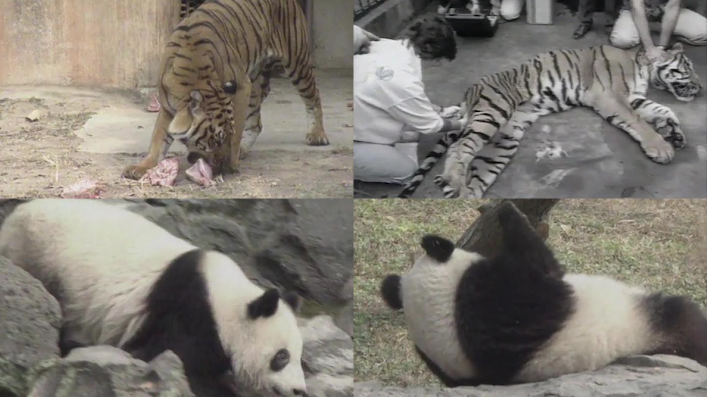 90年代上海动物园