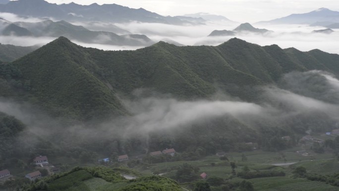 故乡山川云海茫茫