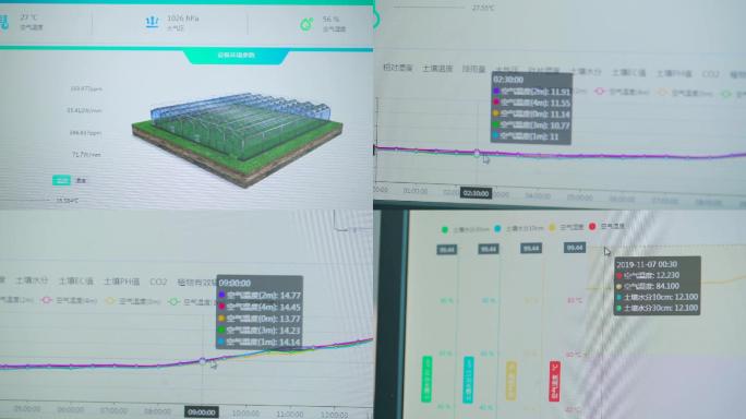 高科技农业智能大棚温室小西红柿现带农业