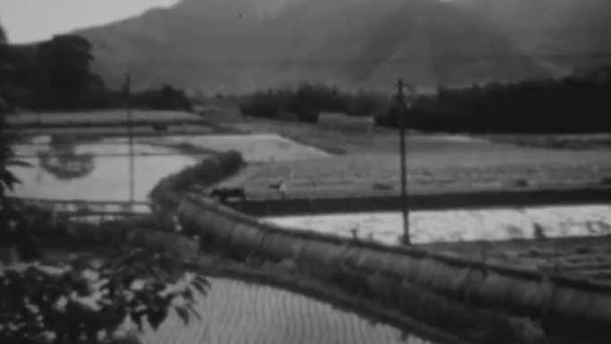 40年代北方山村村民良田粮食丰收秋收收获