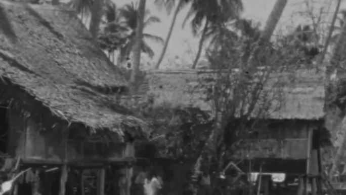 20年代海南岛乡村高脚屋种植园甘蔗椰子树