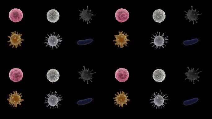6种细菌带alpha通道