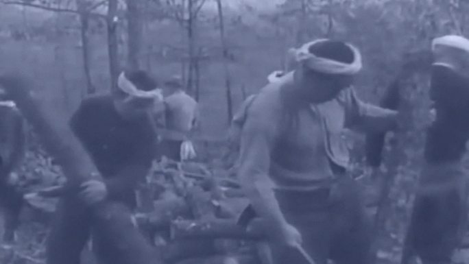 40年代山村村民种植养殖蘑菇香菇菌类