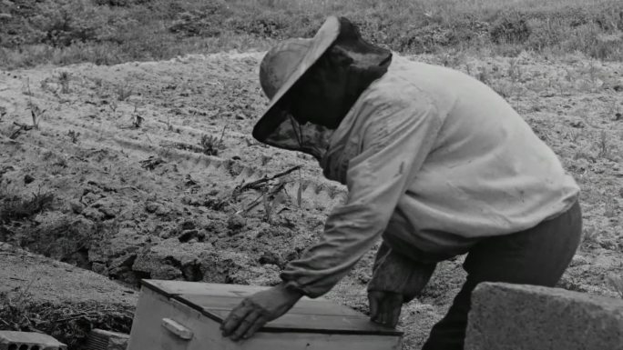 40年代乡村农村山村村民养蜂人蜂巢蜜蜂